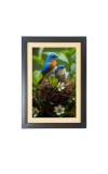 A couple of birds are sitting in a nest Photo Frame Funny Animal and Bird Cartoon Art, Black color, 15x19 Inch