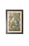 The colorful parrots Black Photo Frame Funny Animal and Bird Cartoon Art