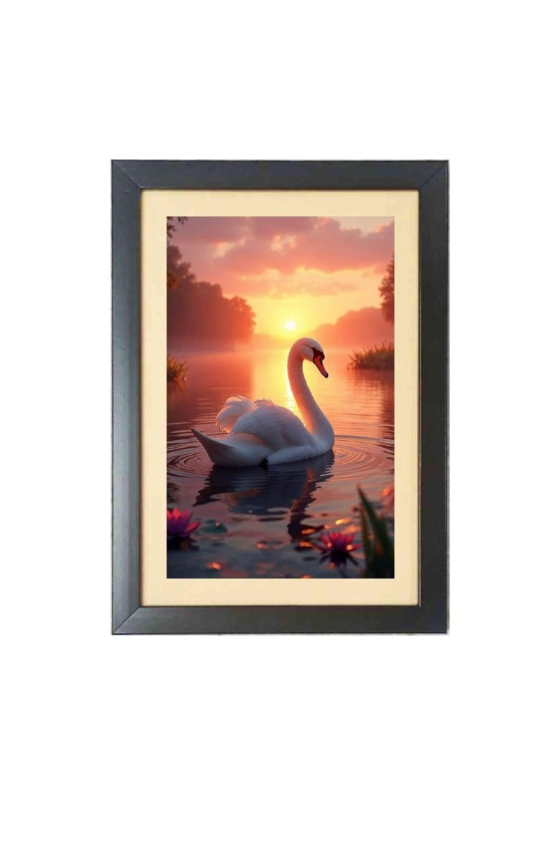 The beautiful swan in the sunset Photo Frame Funny Animal and Bird Cartoon Art, Black color, 13x17 Inch