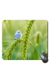 Customized Cute Bird Picture Sublimation Mouse Pad | 8 X 7.5 Inch | Smooth Cloth Surface | Non-Slip Rubber Base | Personalized Mousepad for Laptop & Desktop (F17235)
