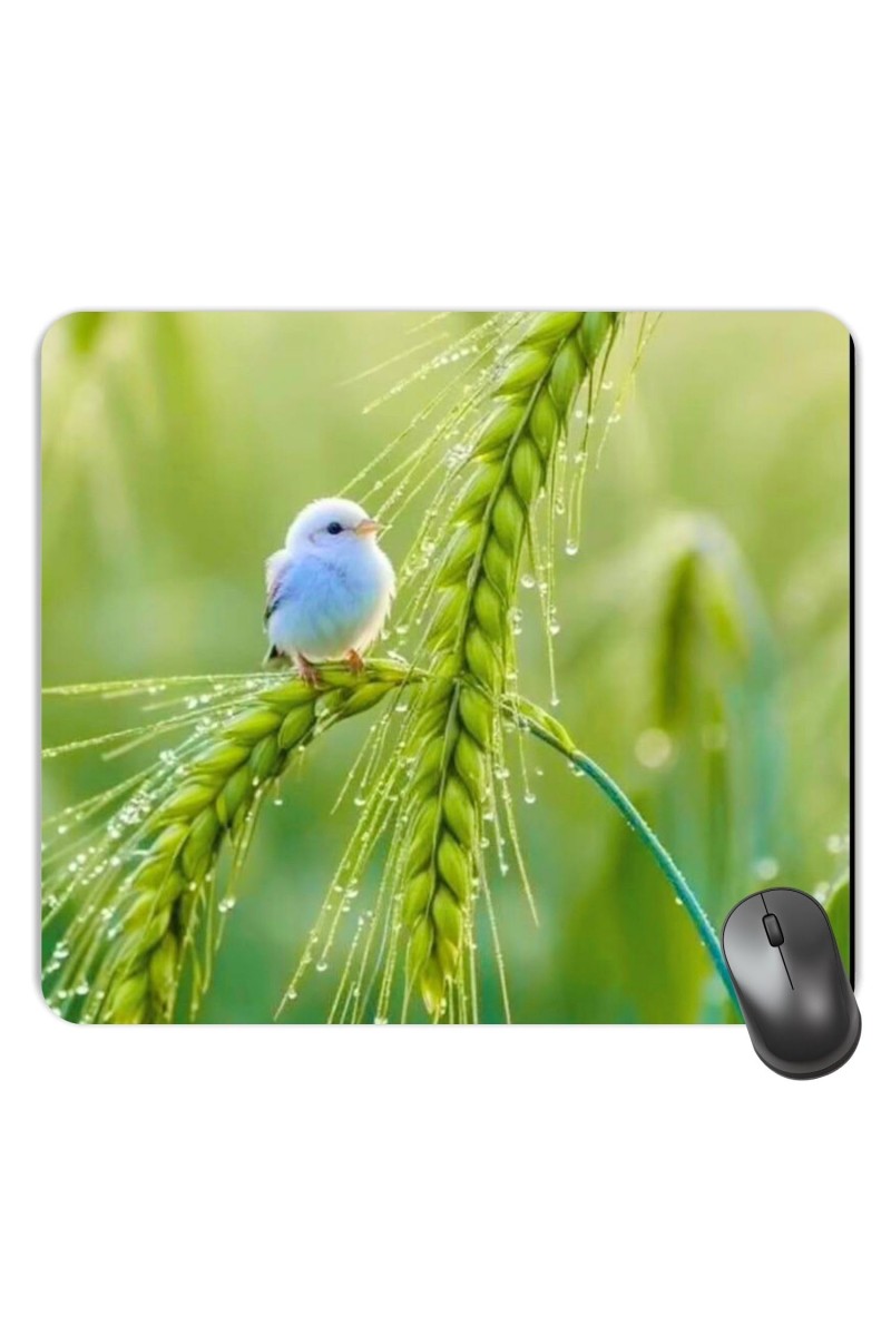 Customized Cute Bird Picture Sublimation Mouse Pad | 8 X 7.5 Inch | Smooth Cloth Surface | Non-Slip Rubber Base | Personalized Mousepad for Laptop & Desktop (F17235)