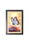 The beautiful butterfly Black Photo Frame Funny Animal and Bird Cartoon Art