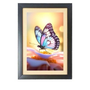 The beautiful butterfly Black Photo Frame Funny Animal and Bird Cartoon Art