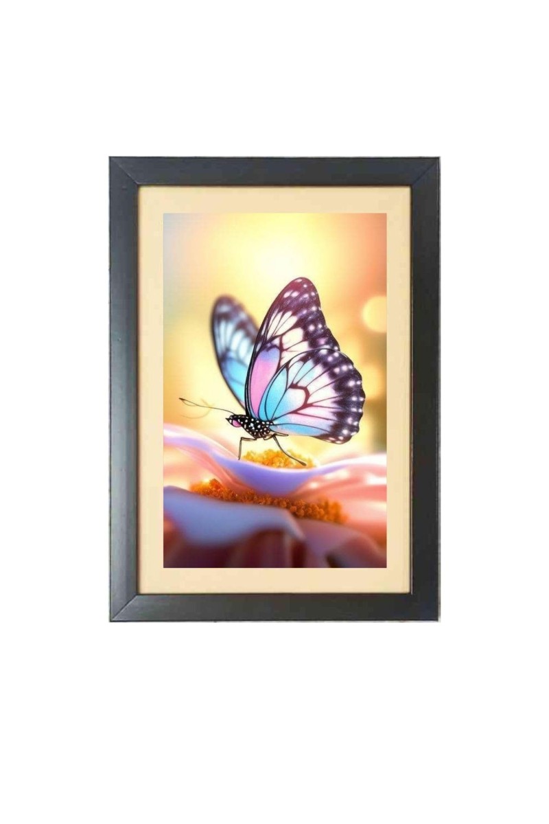 The beautiful butterfly Black Photo Frame Funny Animal and Bird Cartoon Art