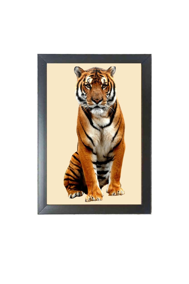 The tiger looking seriously Black Photo Frame Funny Animal and Bird Cartoon Art