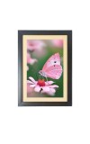 The pink color butterfly Photo Frame Funny Animal and Bird Cartoon Art, Black color, 17x21 Inch