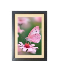 The pink color butterfly Photo Frame Funny Animal and Bird Cartoon Art, Black color, 13x17 Inch