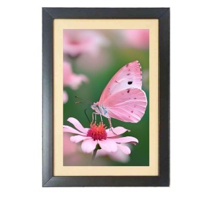 The pink color butterfly Photo Frame Funny Animal and Bird Cartoon Art, Black color, 19x23 Inch