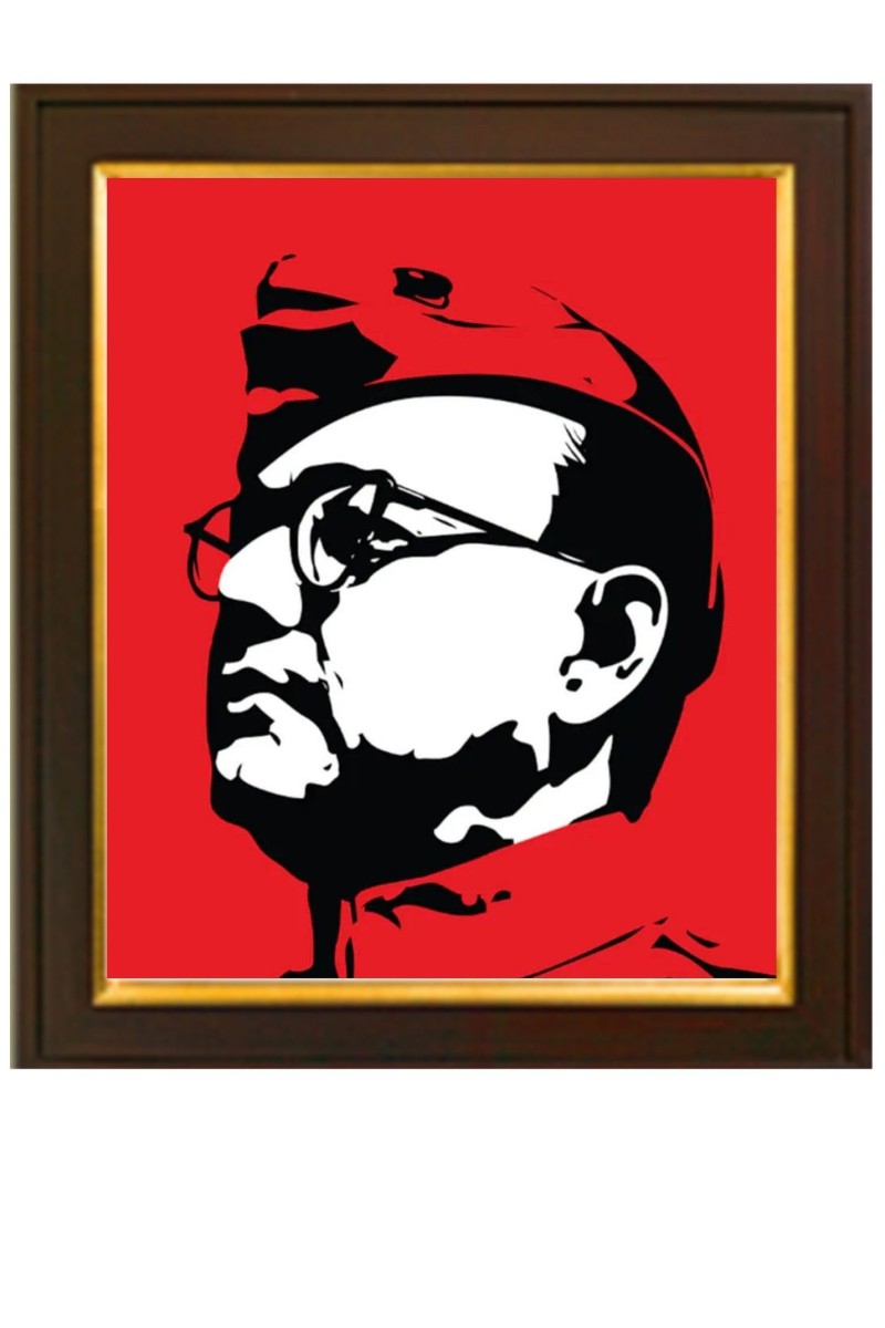 Revolutionary Netaji Subhash Chandra Bose Wood Photo Frame(photoframe,Multicolour,10x12 inch) Wall Mount and Tabletop