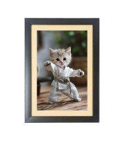 The cute cat is doing karate Black Photo Frame Funny Animal and Bird Cartoon Art