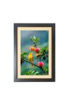 The cute bird is sitting on the apple tree Black Photo Frame Funny Animal and Bird Cartoon Art
