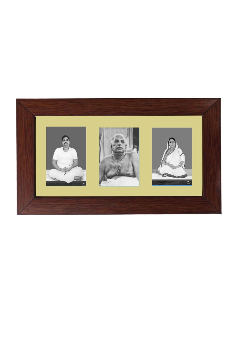 Sri Boroda, Sri Anukul Thakur and Sri Boroma Color Photo Frame - 5x7 Inch, Elegant Religious Home & Temple Decor