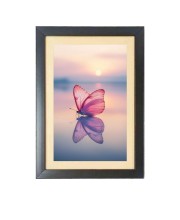 Beautiful butterfly flies in the sunset Black Photo Frame Funny Animal and Bird Cartoon Art