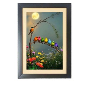 The different colorful birds Photo Frame Funny Animal and Bird Cartoon Art, Black color, 17x21 Inch
