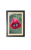 Two cute little birds inside the rose flower Black Photo Frame Funny Animal and Bird Cartoon Art