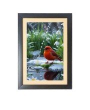 The cute bird Black Photo Frame Funny Animal and Bird Cartoon Art