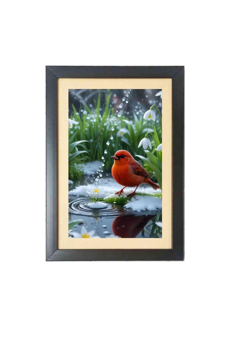 The cute bird Black Photo Frame Funny Animal and Bird Cartoon Art