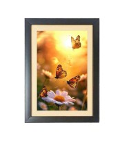 The beautiful butterflies Black Photo Frame Funny Animal and Bird Cartoon Art