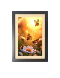 The beautiful butterflies Black Photo Frame Funny Animal and Bird Cartoon Art
