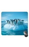 Customized Beautiful Penguins Picture Sublimation Mouse Pad | 8 X 7.5 Inch | Smooth Cloth Surface | Non-Slip Rubber Base | Personalized Mousepad for Laptop & Desktop (F17159)