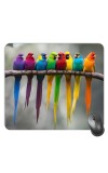 Customized Colorful Birds Picture Sublimation Mouse Pad | 8 X 7.5 Inch | Smooth Cloth Surface | Non-Slip Rubber Base | Personalized Mousepad for Laptop & Desktop (F17436)