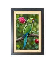 The beautiful parrot Black Photo Frame Funny Animal and Bird Cartoon Art