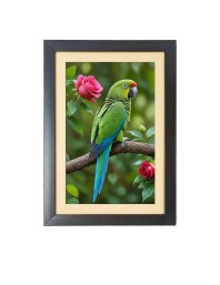 The beautiful parrot Photo Frame Funny Animal and Bird Cartoon Art, Black color, 11x15 Inch