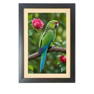 The beautiful parrot Photo Frame Funny Animal and Bird Cartoon Art, Black color, 11x15 Inch