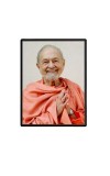 Swami Kriyananda Laminated Photo (13x15 Inches Without glass) Divine Blessings for Table and Walls,Home & Office and Temple Decoration