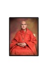 Swami Avdheshanand Giri Laminated Photo - 9x11 Inches, Divine Blessings for Home & Office and Temple Decoration