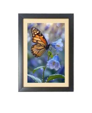 The beautiful butterfly Photo Frame Funny Animal and Bird Cartoon Art, Black color, 13x17 Inch