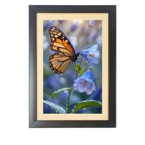 The beautiful butterfly Photo Frame Funny Animal and Bird Cartoon Art, Black color, 15x19 Inch The beautiful butterfly Photo Frame Funny Animal and Bird Cartoon Art, Black color, 15x19 Inch