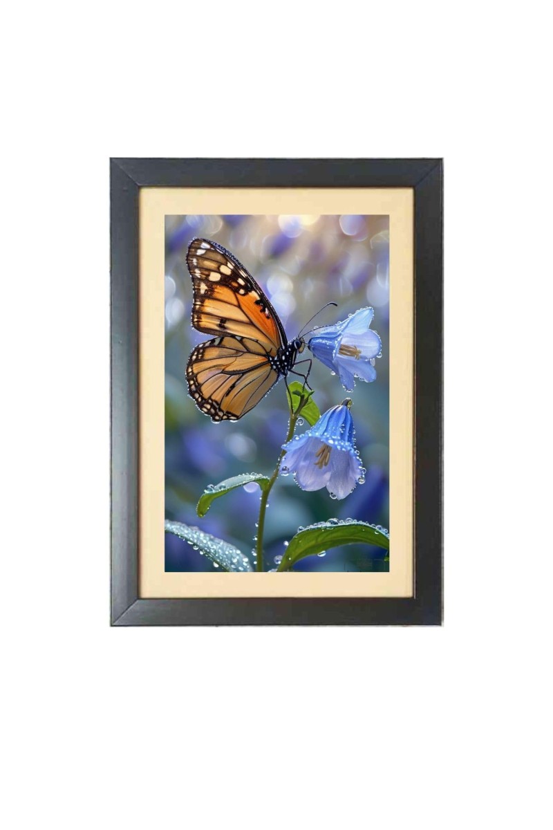 The beautiful butterfly Photo Frame Funny Animal and Bird Cartoon Art, Black color, 17x21 Inch