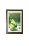 The green butterfly Photo Frame Funny Animal and Bird Cartoon Art, Black color, 19x23 Inch