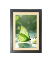 The green butterfly Photo Frame Funny Animal and Bird Cartoon Art, Black color, 17x21 Inch