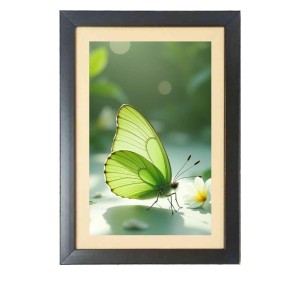 The green butterfly Photo Frame Funny Animal and Bird Cartoon Art, Black color, 19x23 Inch