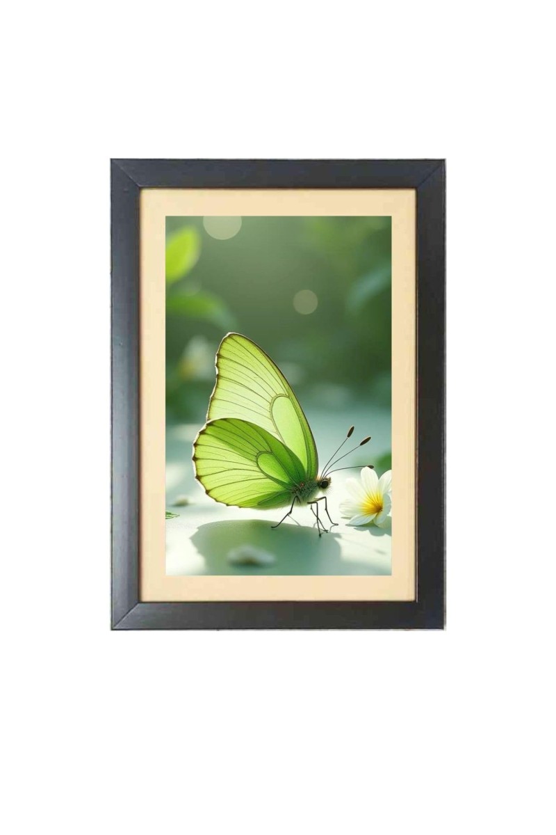 The green butterfly Photo Frame Funny Animal and Bird Cartoon Art, Black color, 19x23 Inch