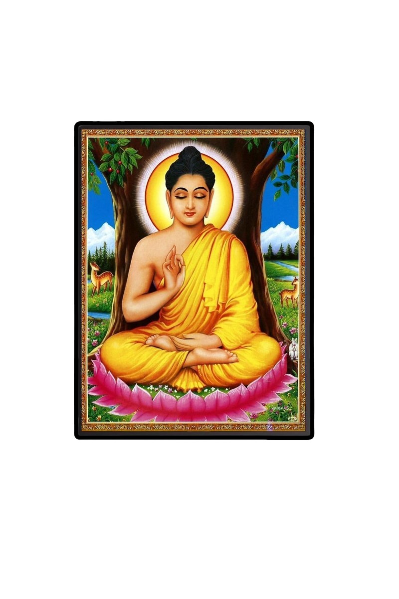 Buddha Laminated Photo - 5x7 Inches, Divine Blessings for Home & Office and Temple Decoration