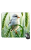 Customized Beautiful Bird Picture Sublimation Mouse Pad | 8 X 7.5 Inch | Smooth Cloth Surface | Non-Slip Rubber Base | Personalized Mousepad for Laptop & Desktop (F17275)