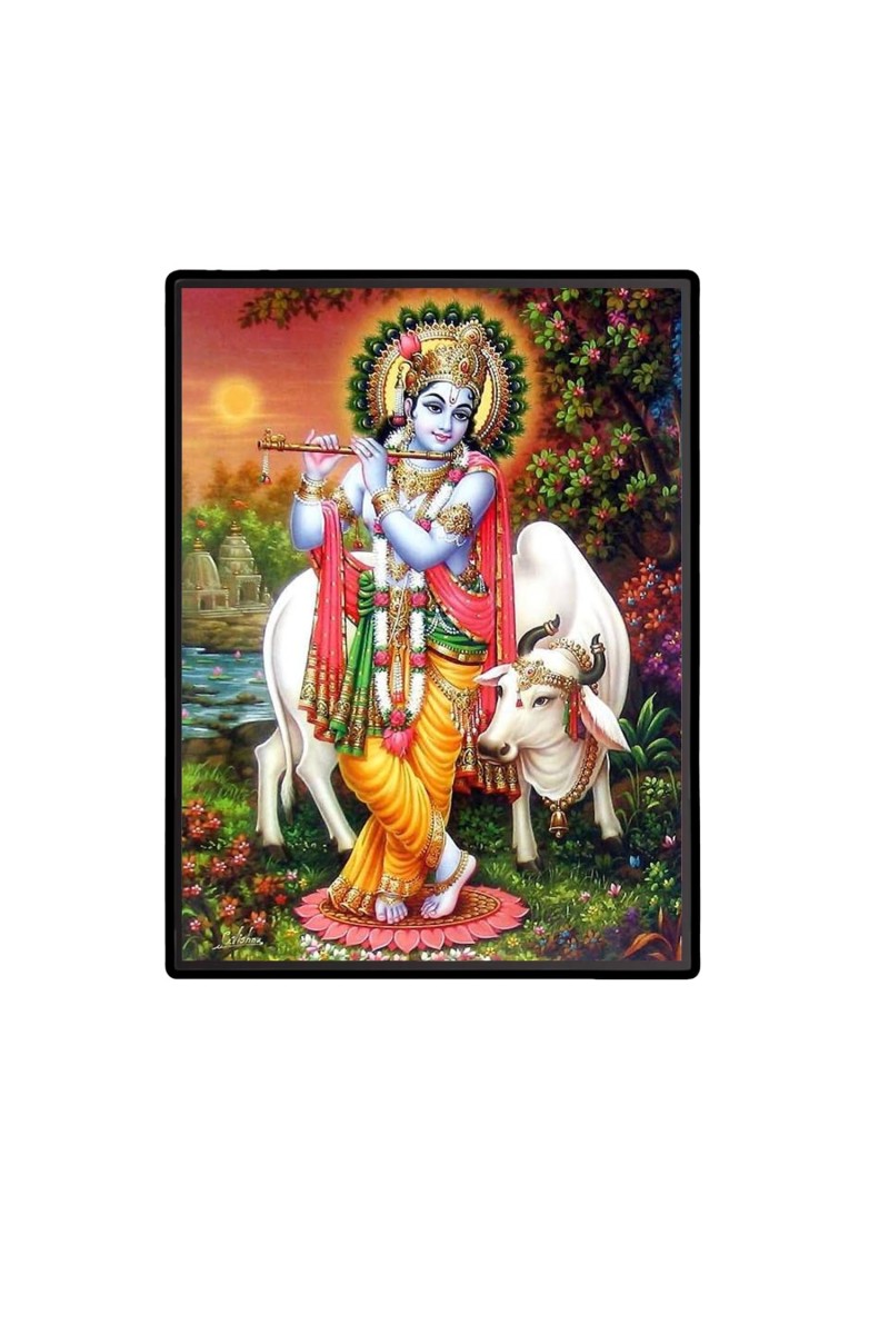 Sri Krishna Laminated Photo (13x15 Inches) Divine Blessings for Home & Office and Temple Decoration