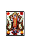 Kali Laminated Photo - 5x7 Inches, Divine Blessings for Home & Office and Temple Decoration