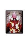 Tara Ma Laminated Photo (13x15 Inches Without glass) Divine Blessings for Table and Walls,Home & Office and Temple Decoration