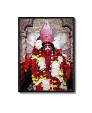 Tara Ma Laminated Photo (11x13 Inches Without glass) Divine Blessings for Table and Walls,Home & Office and Temple Decoration