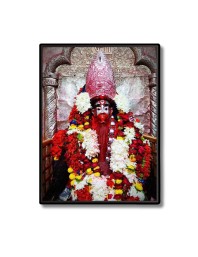 Tara Ma Laminated Photo (11x13 Inches Without glass) Divine Blessings for Table and Walls,Home & Office and Temple Decoration