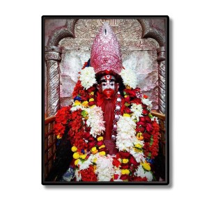 Tara Ma Laminated Photo (9x11 Inches Without glass) Divine Blessings for Table and Walls,Home & Office and Temple Decoration