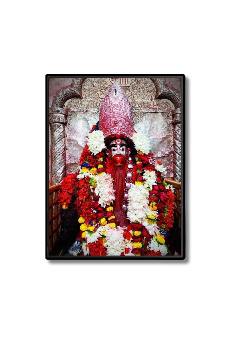 Tara Ma Laminated Photo (13x15 Inches Without glass) Divine Blessings for Table and Walls,Home & Office and Temple Decoration
