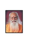 Swami Satchidananda Laminated Photo - 5x7 Inches, Divine Blessings for Home & Office and Temple Decoration