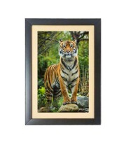 The tiger in the forest Black Photo Frame Funny Animal and Bird Cartoon Art