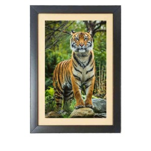 The tiger in the forest Black Photo Frame Funny Animal and Bird Cartoon Art The tiger in the forest Black Photo Frame Funny Animal and Bird Cartoon Art
