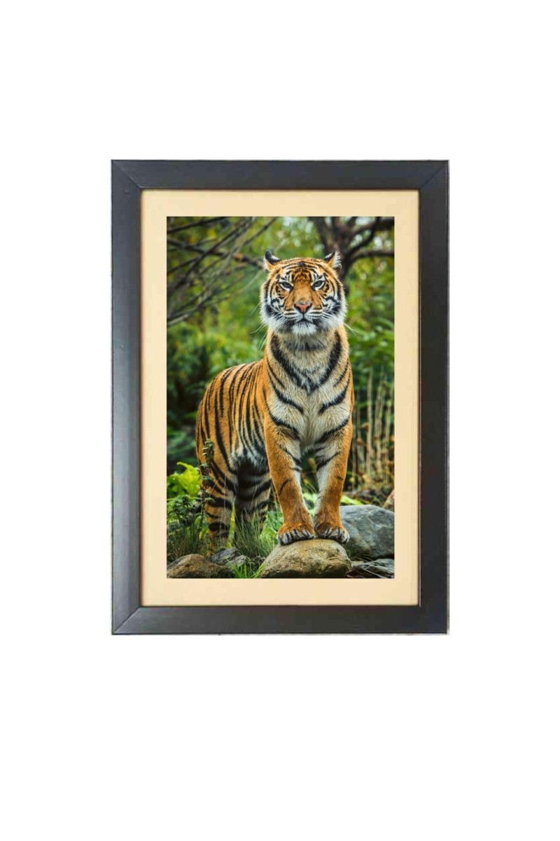 The tiger in the forest Black Photo Frame Funny Animal and Bird Cartoon Art